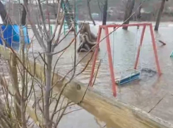 Река Деркул вышла из берегов и затопила три моста и детскую площадку в Беловодске