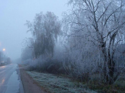 Заморозки и гололед обещают Луганску 26 ноября
