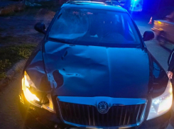 В Молодогвардейске ЛНР водитель насмерть сбил пешехода и скрылся