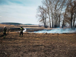 Огонь охватил десятки гектаров: в ЛНР вспыхнули ландшафтные пожары