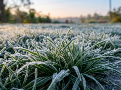 Заморозки до -3 градусов ожидаются в ЛНР утром 17 апреля