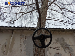 За неделю в ЛНР на дорогах 18 аварий: погибли четыре человека, десятки ранены