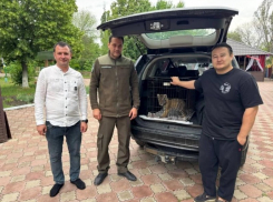 Амурский тигренок из квартиры в Стаханове ЛНР отправился в Ленинградскую область 