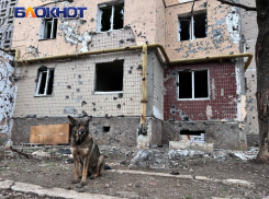  «В Русском Поречном не выжил никто»: политик из ЛНР рассказал, что ВСУ сотворили под Курском