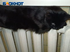 Жители ЛНР не будут платить за холодные батареи