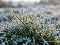 Заморозки и дожди ожидаются в ЛНР 21 апреля