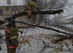 Произошла утечка газа, дерево задело электроопору: спасатели справились с последствиями непогоды в ЛНР