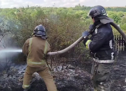 В Антрацитовском районе ЛНР бушуют масштабные пожары, есть погибшие