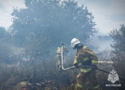 Природные пожары бушуют в 17 округах ЛНР
