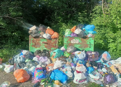 Во дворе дома в Алчевске ЛНР начался мусорный апокалипсис
