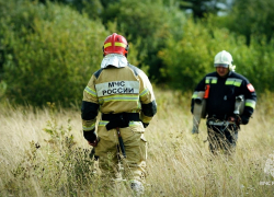 Ландшафтные пожары в ЛНР оставляют гектары выжженной земли