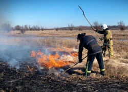 В ЛНР идёт борьба с ландшафтными пожарами: 28 из 39 пожаров за сутки - сухотравные 
