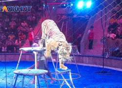 Около двух миллиардов рублей обойдется реконструкция Луганского цирка