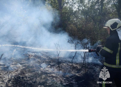 За выходные в ЛНР зафиксировали 86 пожаров, 73 из них – природные