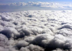 Туман и переменная облачность: прогноз погоды на 15 ноября в ЛНР