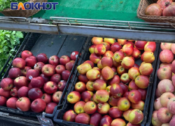В ЛНР почти 1,5 тысячи предпринимателей ограничили наценку на продукты питания