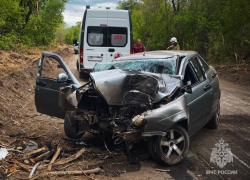 Смертельное ДТП в Луганске: столкновение с деревом унесло жизнь водителя