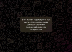 Развратный канал ПВЗ OZON и Wildberries в Телеграм заблокирован после публикации в «Блокнот Луганск»