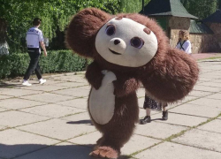 Ростовые куклы, аквагрим, карусели и мороженое: на Первомай в Луганске открылся одноимённый парк  