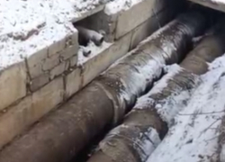 Тепловики запустили третий котел на «Заводской» в Алчевске ЛНР