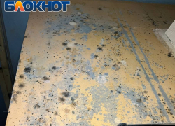 «Добро пожаловать»: грибок и плесень продолжают расти на стенах квартир МКД по улице Шевченко в Луганске