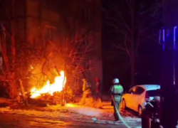 Живодеры подожгли будку с бродячими собаками в Луганске