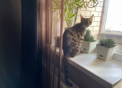 Без меня меня выписали: кого в ЛНР снимают с регистрации без присутствия