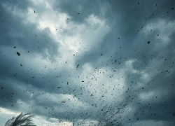 Ветер принёс похолодание в ЛНР