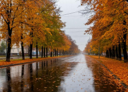 Погода в ЛНР 23 октября: до 23 градусов, небольшой дождь