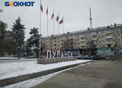 ЛНР вошла в двадцатку самых активных участников Всероссийской переписи воробьев