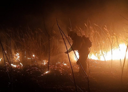 Природные пожары бушуют в ЛНР: зафиксировано 65 возгораний