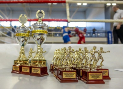 Первое место и 18 путевок на Чемпионаты России привезла сборная ЛНР по боксу