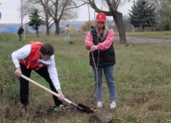 Молодые деревца в память о героях СВО озеленят улицу в ЛНР