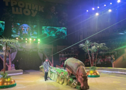 В Луганском цирке завершилась программа «Тропик‑шоу»