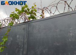 Визитеры, забившие до смерти хозяина дома в Северодонецке ЛНР, получили сроки