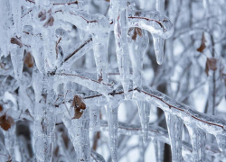 Мокрый снег и ледяной дождь одолеют ЛНР 8 февраля