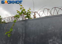 Камнем по голове, ножом и молотком: в ЛНР гастарбайтеры расправились с местным жителем