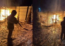 В Луганске ночью полыхал вольер