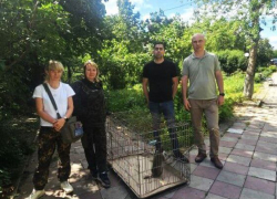 Зеленая мартышка жила у любителя экзотики из Стаханова ЛНР