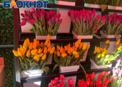 101 тюльпан или оплаченная коммуналка: что реально хотят луганчанки на 8 Марта