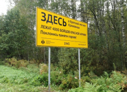 Желтые дорожные указатели к культурным объектам установят в ЛНР