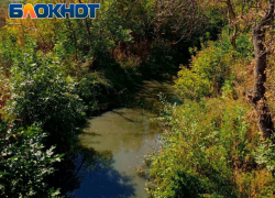 Экологическое бедствие в Луганске: незаконный сброс фекалий почти уничтожил реку Ольховку