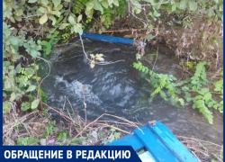 «Скоро будем сидеть без света»: прорвало трубу и затапливает щитовую в одном из подвалов жилого дома на улице Щаденко в Луганске