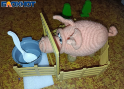 Жителям ЛНР рассказали, как нужно обходиться со свиньями