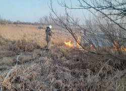 Всего за один день в ЛНР ликвидировали 75 ландшафтных возгораний