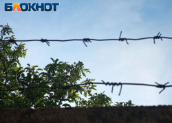 Жулик из луганского СИЗО: молодой дончанин выманил сбережения у землячки