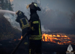 Сводка МЧС ЛНР: четыре возгорания за сутки