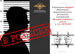 Уроженец Алтая, скрывавшийся в ЛНР, передан ростовским полицейским