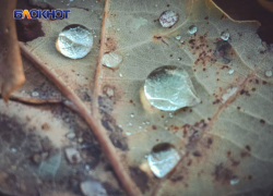 Дождь и туман: синоптики рассказали о погоде в пятницу в ЛНР