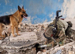В ЛНР собака помогла росгвардейцам найти схроны с боеприпасами